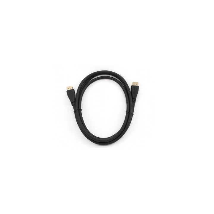 Gembird CC-DP2-10 cabo DisplayPort 3 m Preto