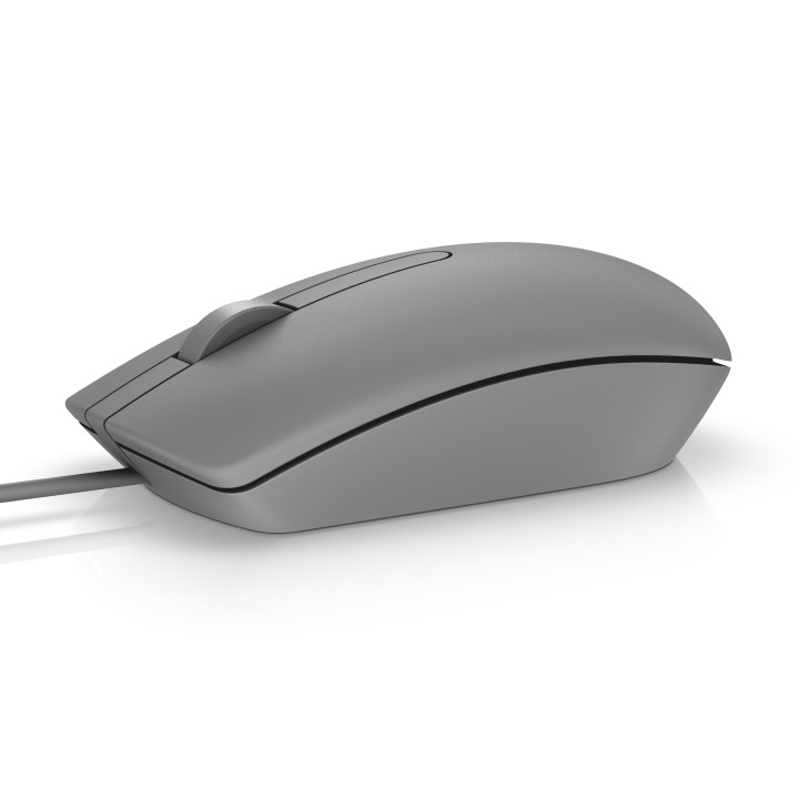 DELL MS116 rato USB Óptico 1000 DPI Ambidestro