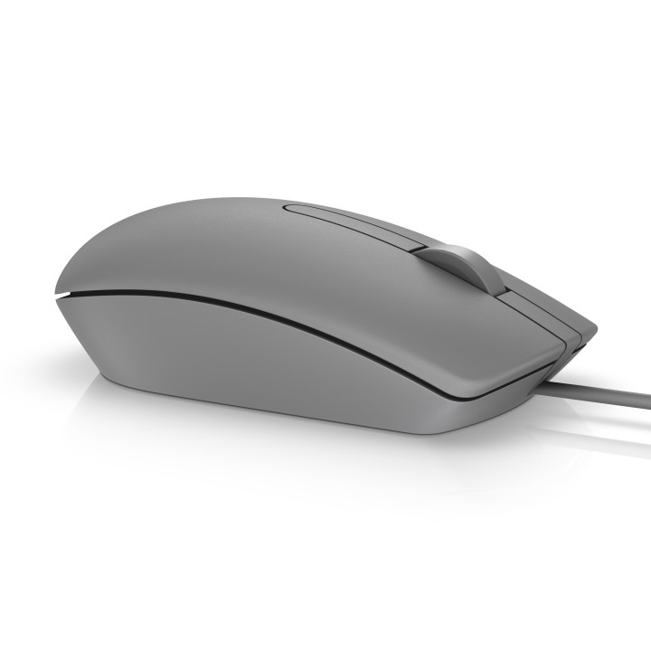DELL MS116 rato USB Óptico 1000 DPI Ambidestro