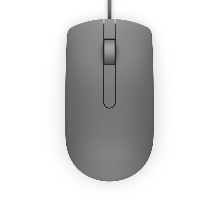 DELL MS116 rato USB Óptico 1000 DPI Ambidestro