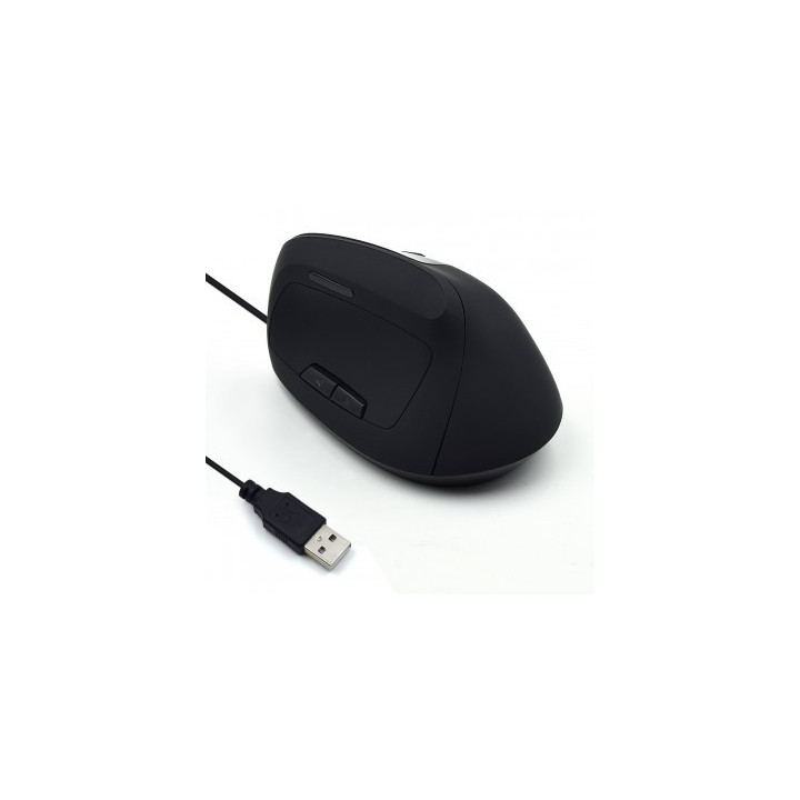 Ewent EW3157 rato USB Type-A Ótico 1800 DPI Mão direita