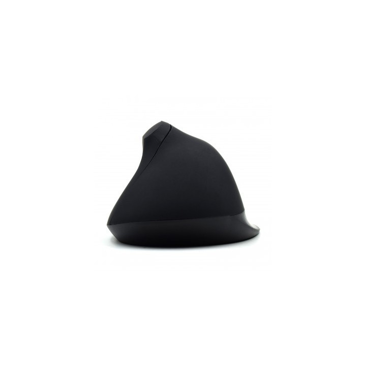 Ewent EW3157 rato USB Type-A Ótico 1800 DPI Mão direita
