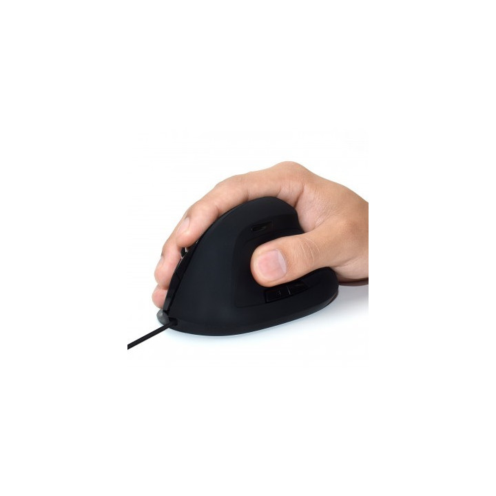 Ewent EW3157 rato USB Type-A Ótico 1800 DPI Mão direita