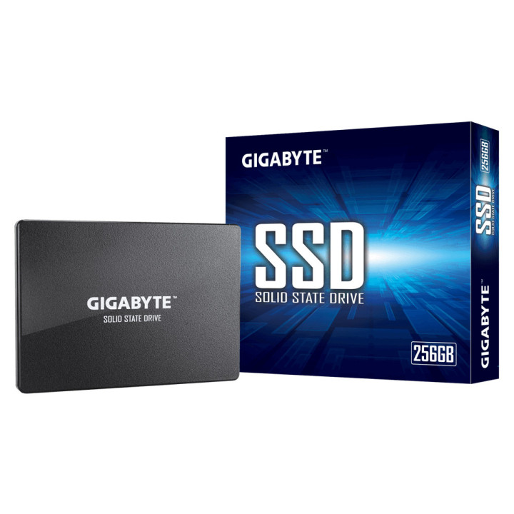 Gigabyte GP-GSTFS31256GTND disco SSD 2.5" 256 GB ATA serial III V-NAND