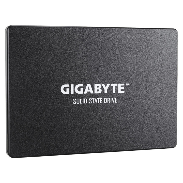 Gigabyte GP-GSTFS31256GTND disco SSD 2.5" 256 GB ATA serial III V-NAND
