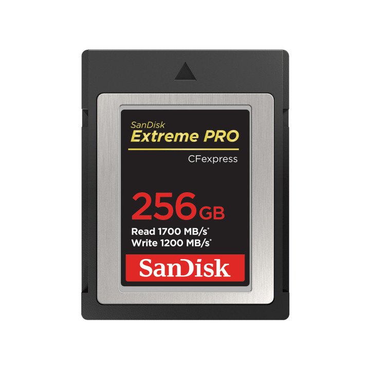 SanDisk SDCFE-256G-GN4NN cartão de memória 256 GB CFexpress