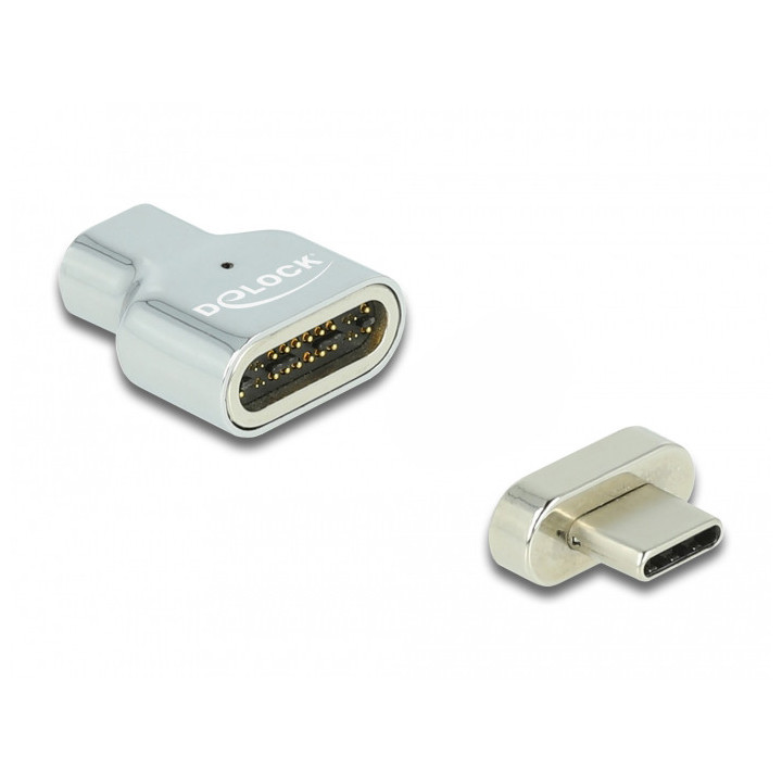 DeLOCK 66433 adaptador para cabos Thunderbolt 3  USB C Prateado