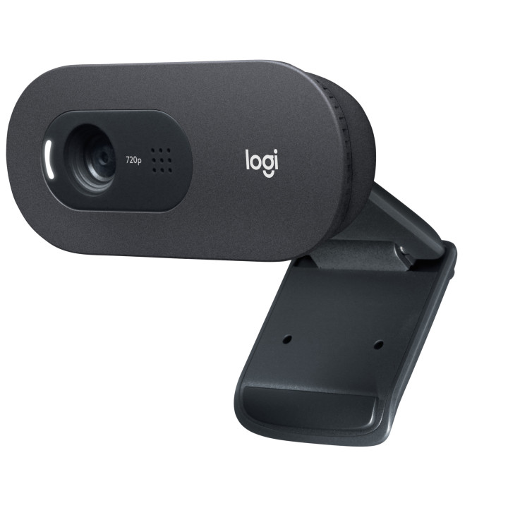Logitech C505e webcam 1280 x 720 pixels USB Preto