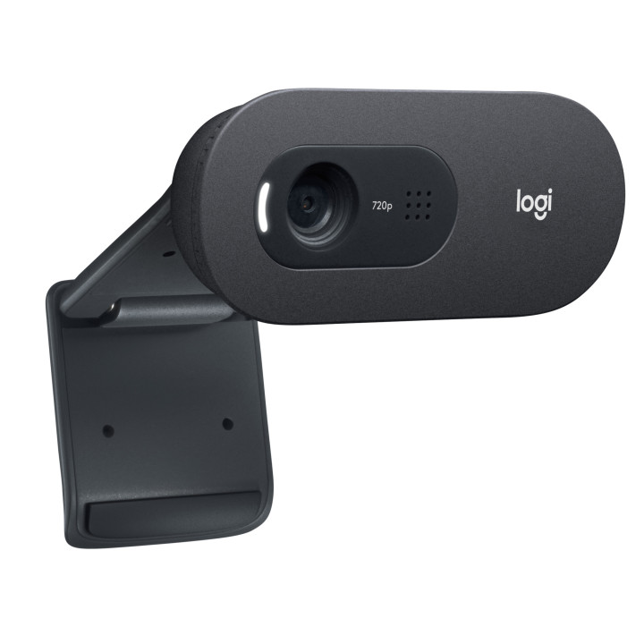 Logitech C505e webcam 1280 x 720 pixels USB Preto