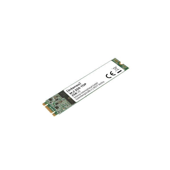 Intenso Top Performance M.2 256 GB Serial ATA III