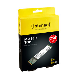 Intenso Top Performance M.2 256 GB Serial ATA III