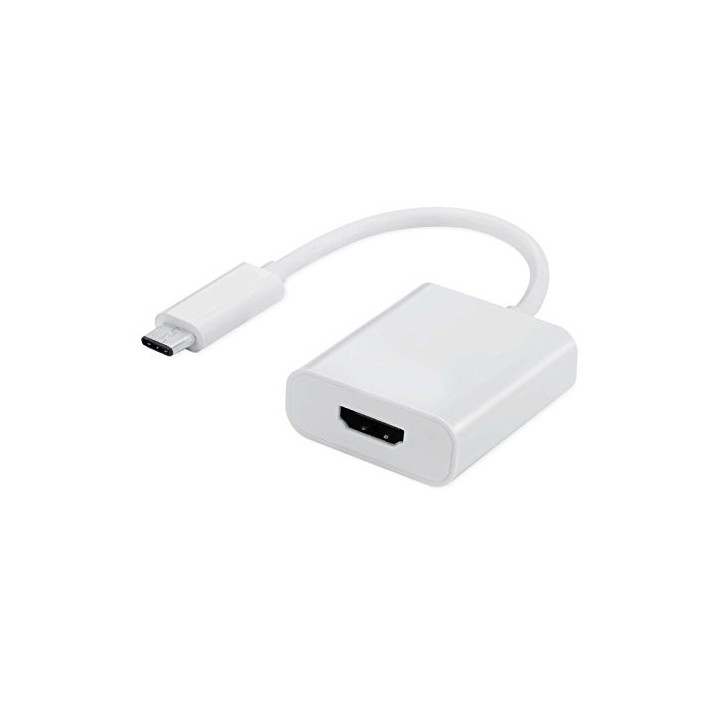 Ewent EW-139501-001-N-P adaptador gráfico USB Branco
