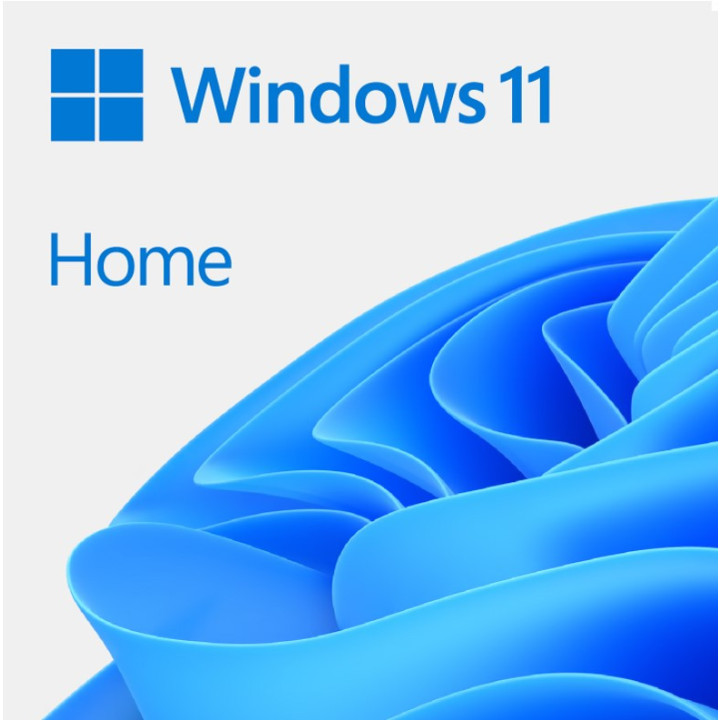 Microsoft Windows 11 Home OEM PT