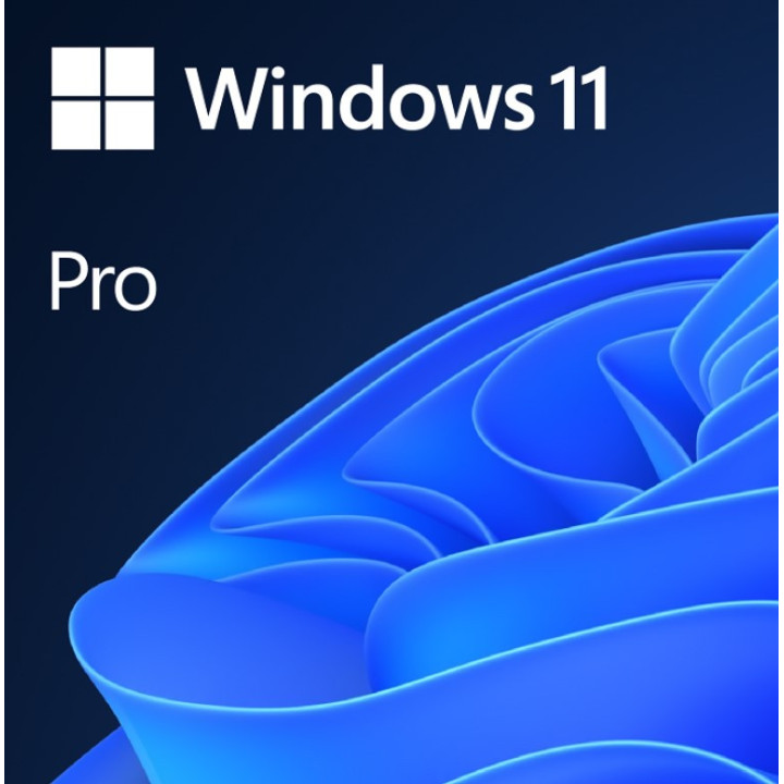 Microsoft Windows 11 Pro OEM ING