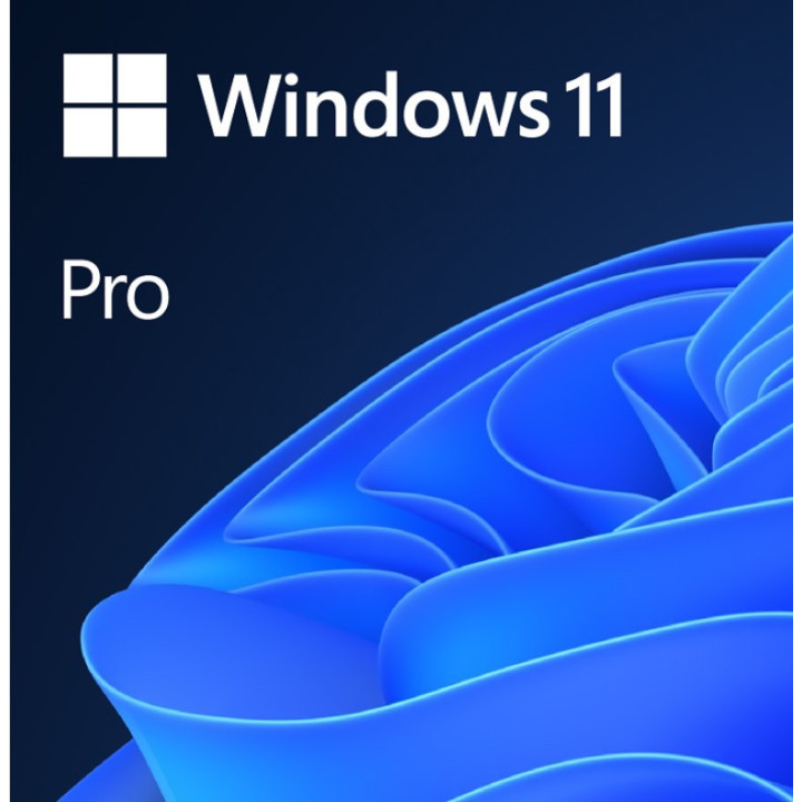 Windows 11 Pro GGK 64Bit Eng Intl 1pk DSP ORT OEI DVD