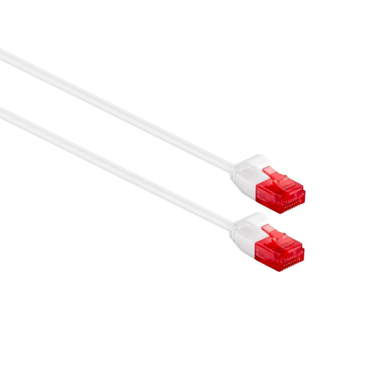 Ewent IM1038 cabo de rede Branco 1,5 m Cat6 U UTP (UTP)