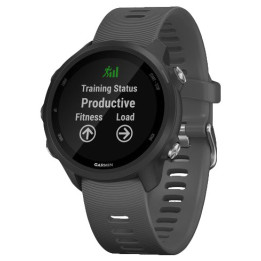 Garmin 010-02120-10 smartwatch 3,05 cm (1.2") 30 mm MIP Preto GPS