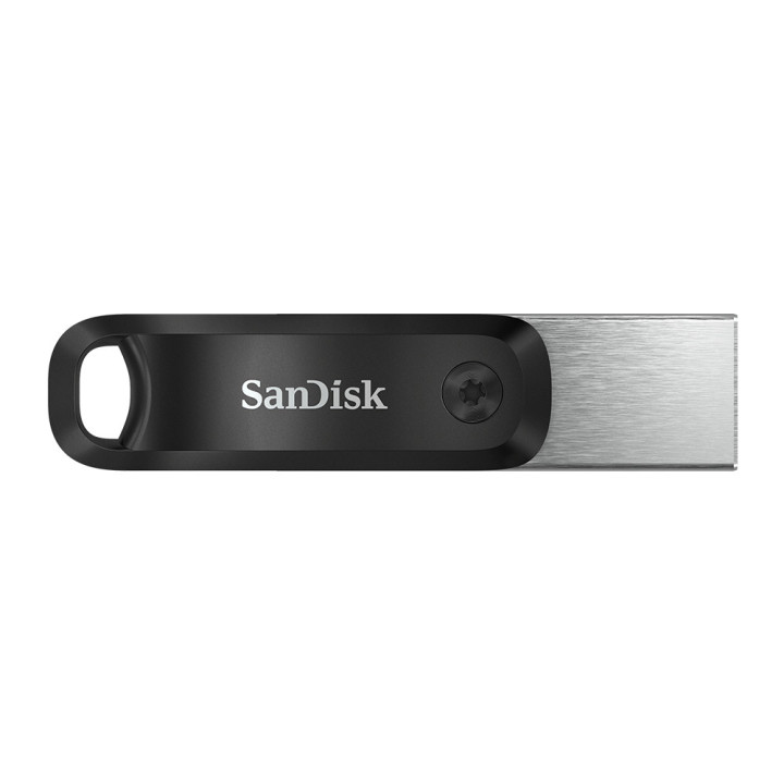 SanDisk SDIX60N-256G-GN6NE unidade de memória USB 256 GB 3.2 Gen 1 (3.1 Gen 1) Cinzento, Prateado
