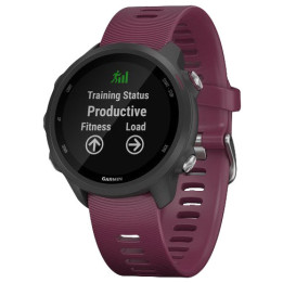 Garmin 010-02120-11 smartwatch 3,05 cm (1.2") 30 mm MIP Preto GPS