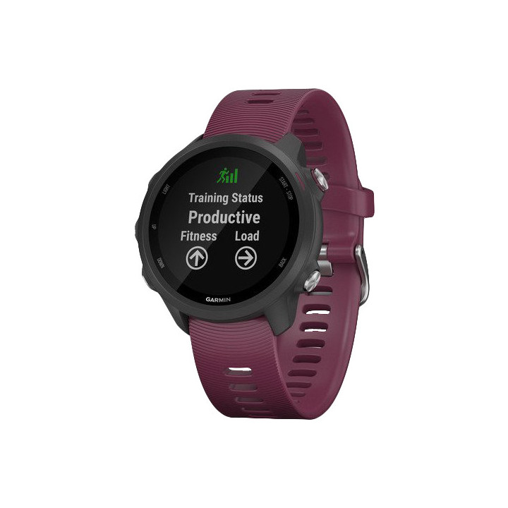 Garmin 010-02120-11 smartwatch 3,05 cm (1.2") 30 mm MIP Preto GPS