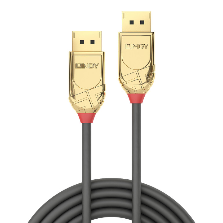 Lindy 36298 cabo DisplayPort 20 m Cinzento