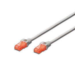 Ewent EW-6U-200 cabo de rede Cinzento 20 m Cat6 U UTP (UTP)