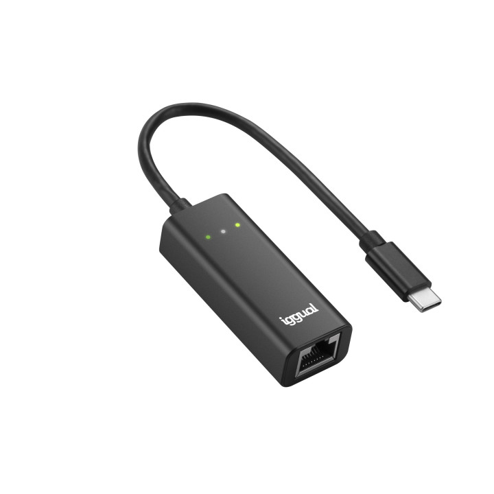iggual IGG317693 cartão de rede Ethernet 1000 Mbit s