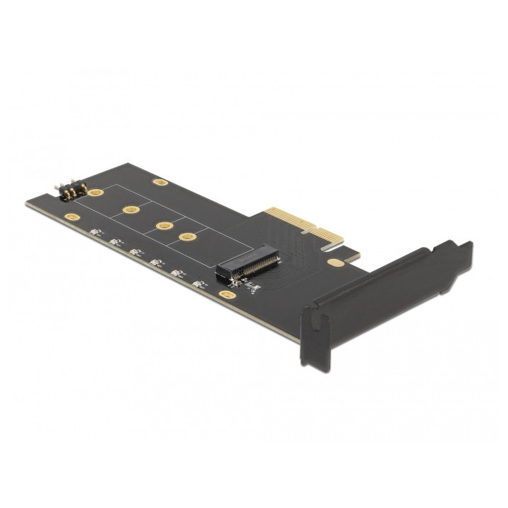 DeLOCK 89013 placa adaptador de interface Interno M.2