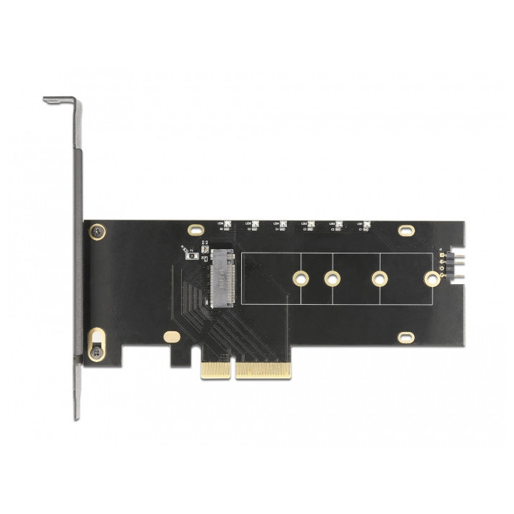 DeLOCK 89013 placa adaptador de interface Interno M.2