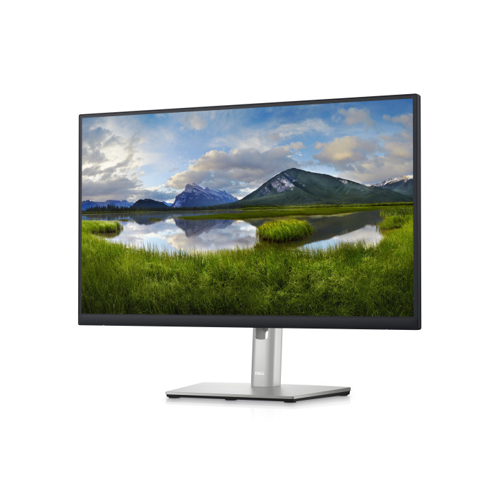 DELL P Series P2423D 60,5 cm (23.8") 2560 x 1440 pixels Quad HD LCD Preto, Prateado