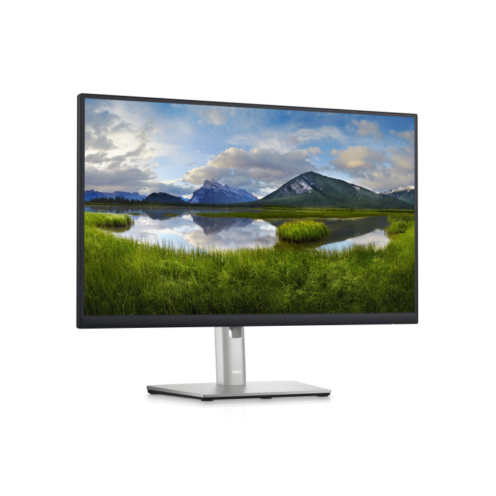 DELL P Series P2423D 60,5 cm (23.8") 2560 x 1440 pixels Quad HD LCD Preto, Prateado