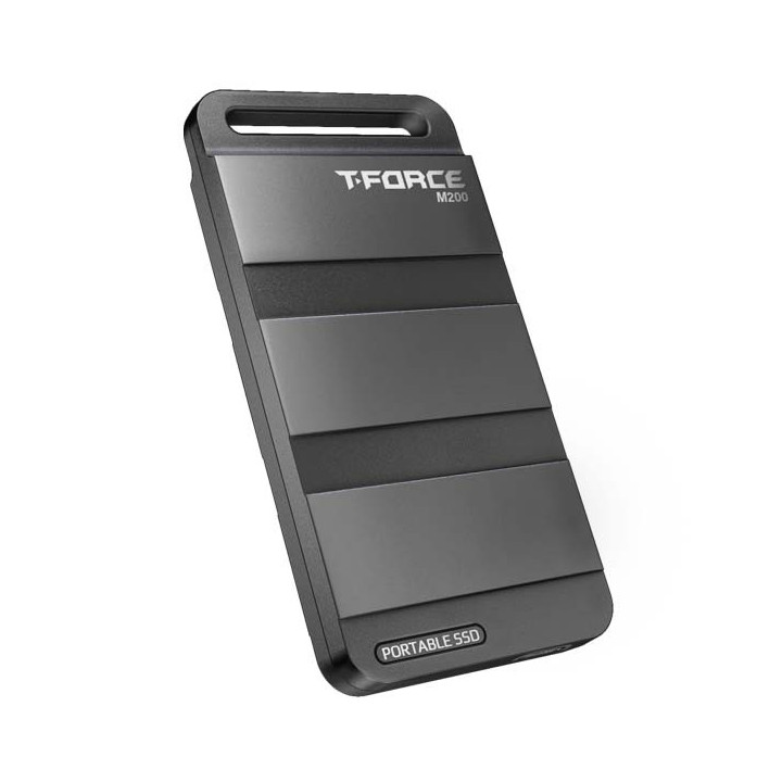 Team Group T-FORCE M200 4000 GB Preto