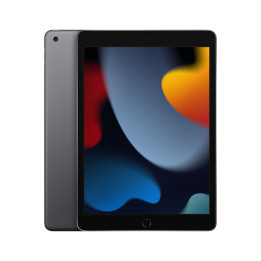 Apple iPad 64 GB 25,9 cm (10.2") 3 GB Wi-Fi 5 (802.11ac) iPadOS 15 Cinzento