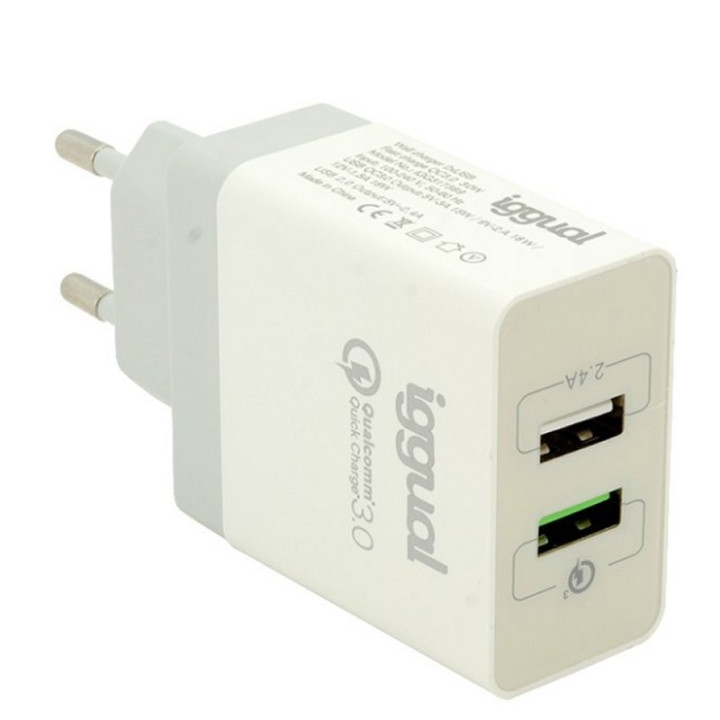 iggual IGG317389 carregador de dispositivos móveis Branco Interior