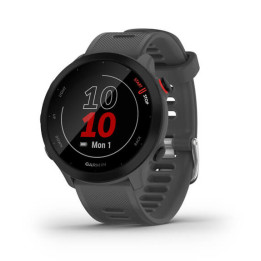 Garmin 010-02562-13 Smartwatch Relógio Desportivo MIP 42 mm Cinzento GPS