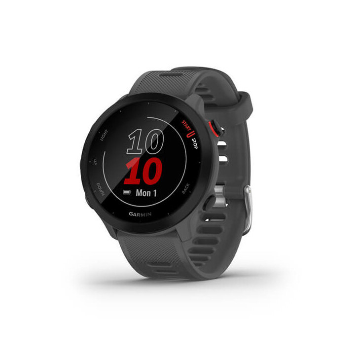 Garmin 010-02562-13 Smartwatch Relógio Desportivo MIP 42 mm Cinzento GPS