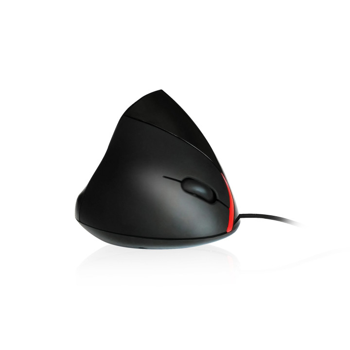 Ewent EW3156 rato USB Type-A Ótico 1000 DPI