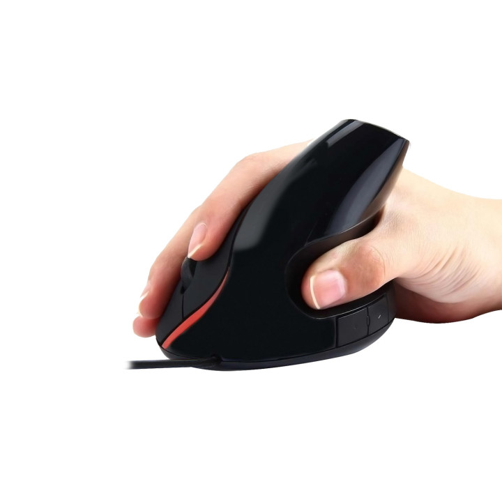 Ewent EW3156 rato USB Type-A Ótico 1000 DPI