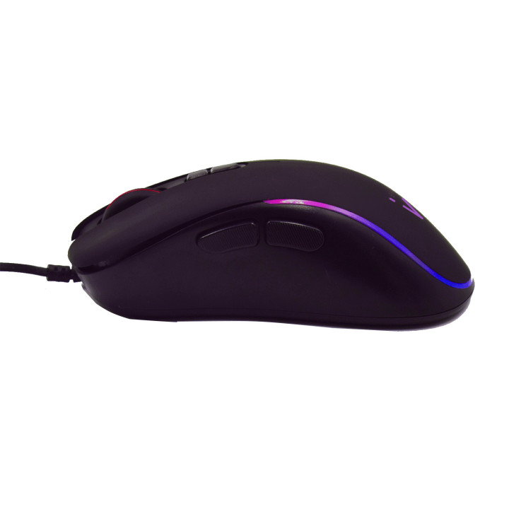 Ewent PL3302 rato Mão direita USB Type-A Ótico 3600 DPI