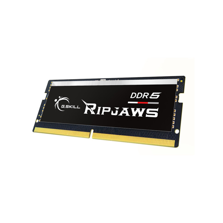 G.Skill Ripjaws F5-4800S4039A16GX1-RS módulo de memória 16 GB 1 x 16 GB DDR5 4800 MHz