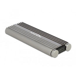 DeLOCK 42001 Caixa para Discos Rígidos Compartimento SSD Prateado M.2