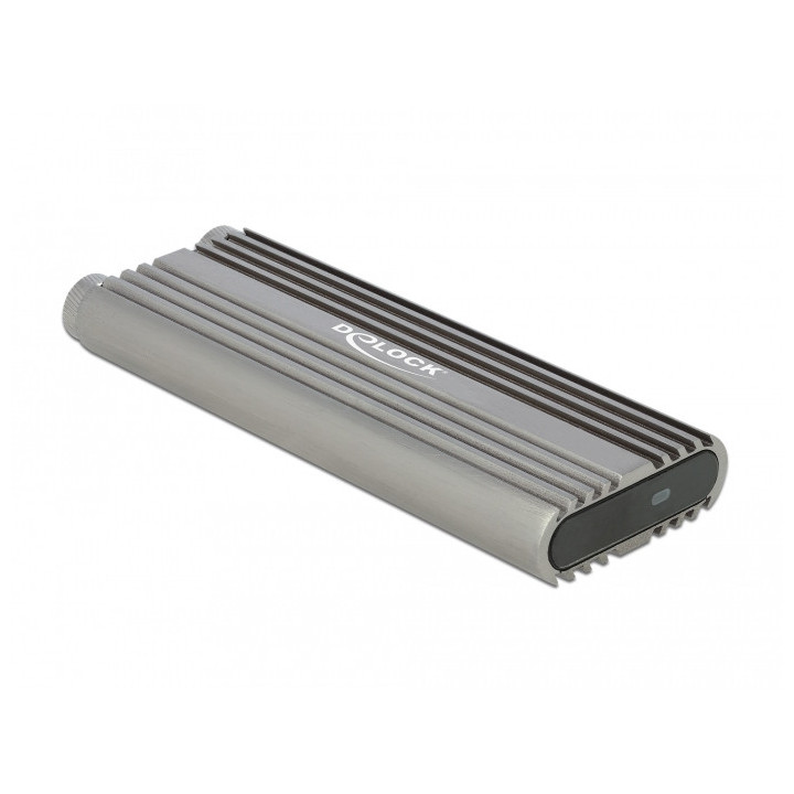 DeLOCK 42001 Caixa para Discos Rígidos Compartimento SSD Prateado M.2
