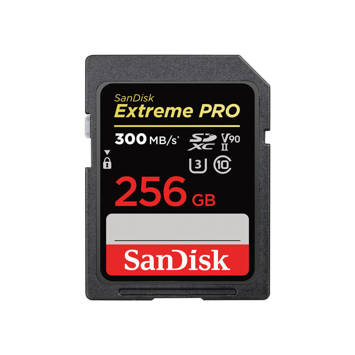 SanDisk Extreme PRO 256 GB SDXC UHS-II Classe 10