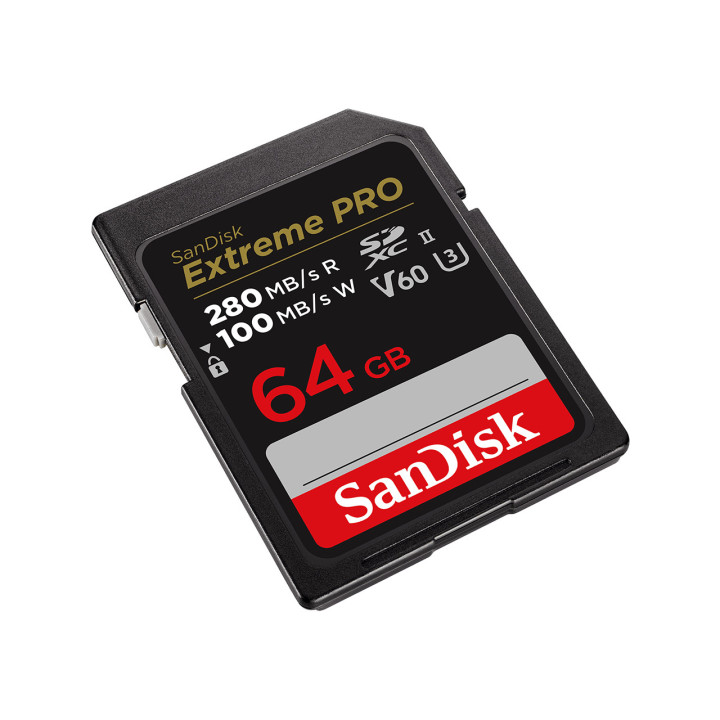 SanDisk SDSDXEP-064G-GN4IN cartão de memória 64 GB SDXC UHS-II Classe 10