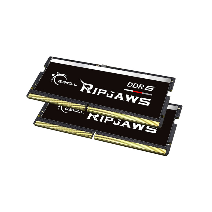 G.Skill Ripjaws F5-4800S4039A32GX2-RS módulo de memória 64 GB 2 x 32 GB DDR5 4800 MHz