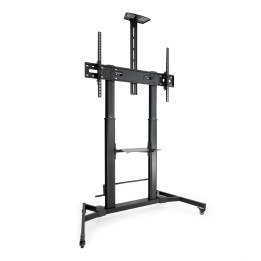 TooQ ZEUS 2,54 m (100") Preto