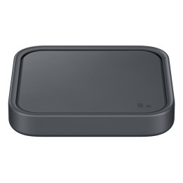 Samsung EP-P2400 Cinzento Interior
