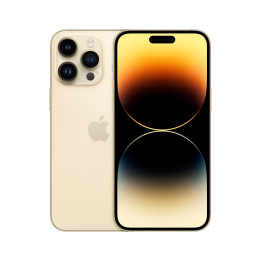 Apple iPhone 14 Pro Max 17 cm (6.7") Dual SIM iOS 16 5G 256 GB Dourado
