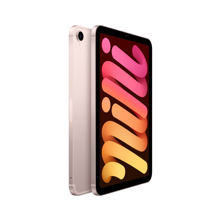 Apple iPad mini 5G TD-LTE & FDD-LTE 256 GB 21,1 cm (8.3") 4 GB Wi-Fi 6 (802.11ax) iPadOS 15 Rosa dourado