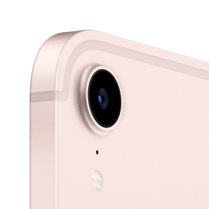 Apple iPad mini 5G TD-LTE & FDD-LTE 256 GB 21,1 cm (8.3") 4 GB Wi-Fi 6 (802.11ax) iPadOS 15 Rosa dourado